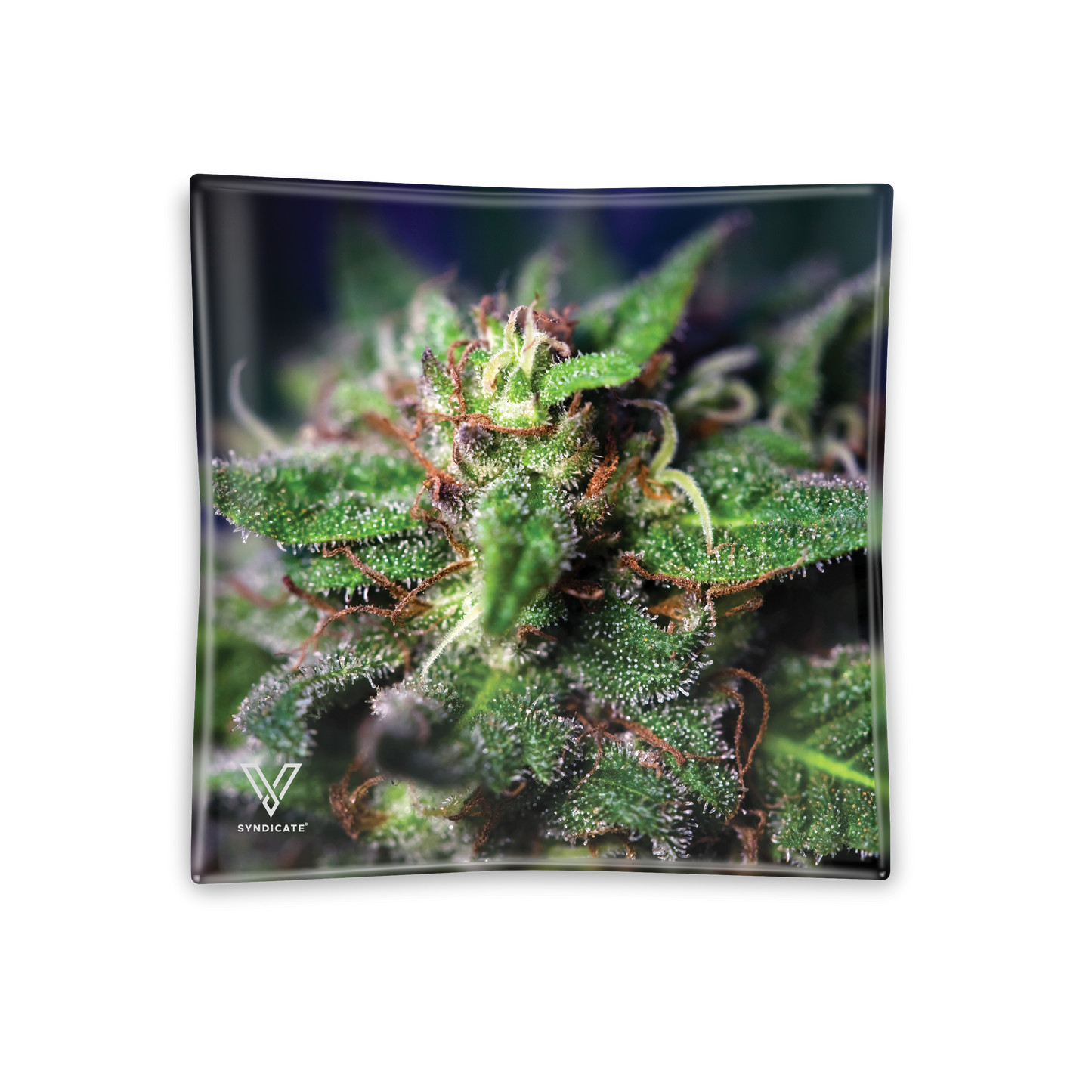 Glass Ashtrays