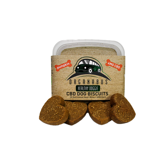 4MG DOG BISCUITS 20CT