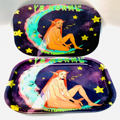 Rolling Tray w/ Magnetic Lid Rectangular