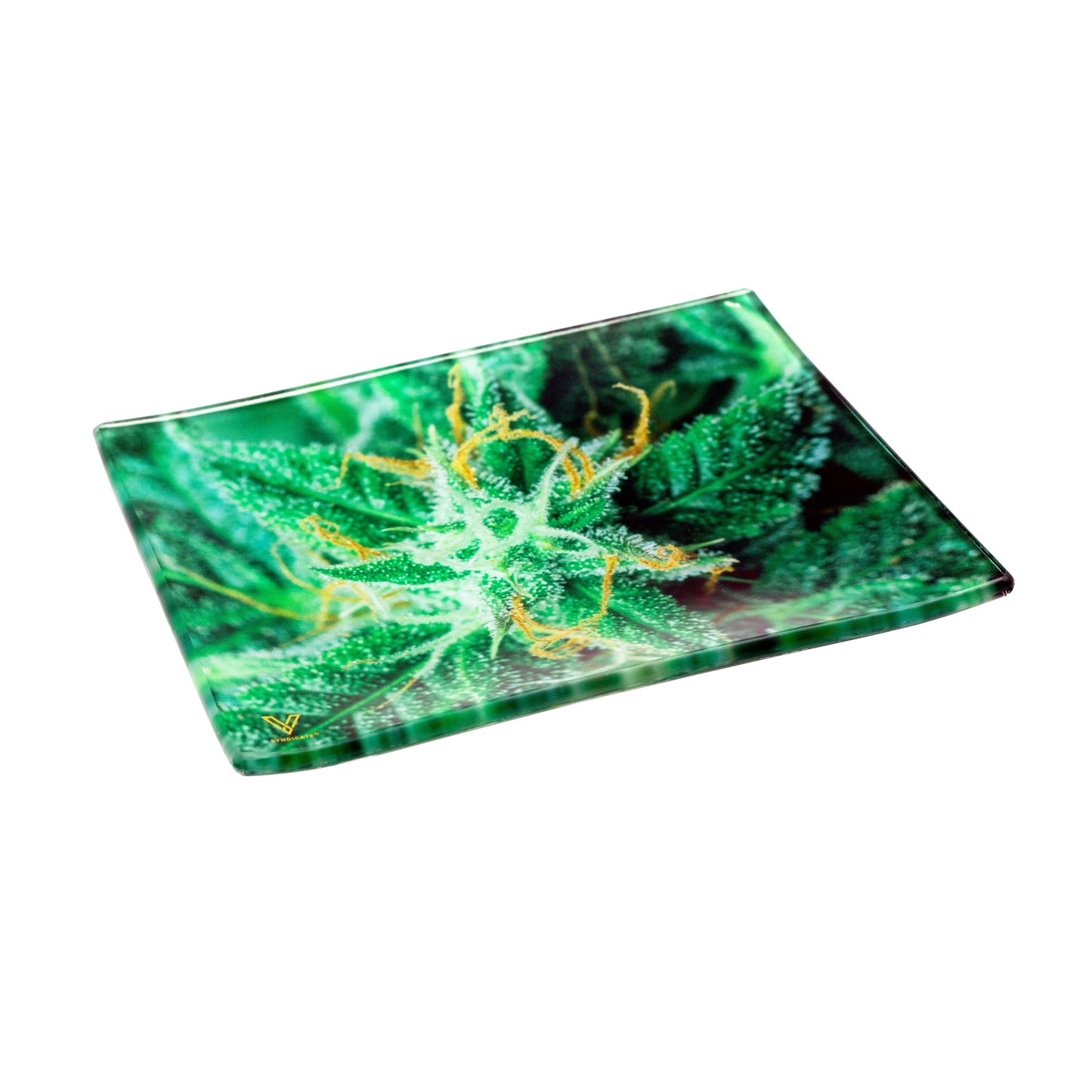 Small Glass Trays