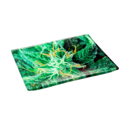 Small Glass Trays