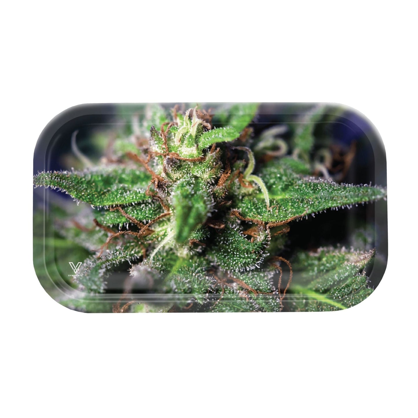 Metal Tray: Medium